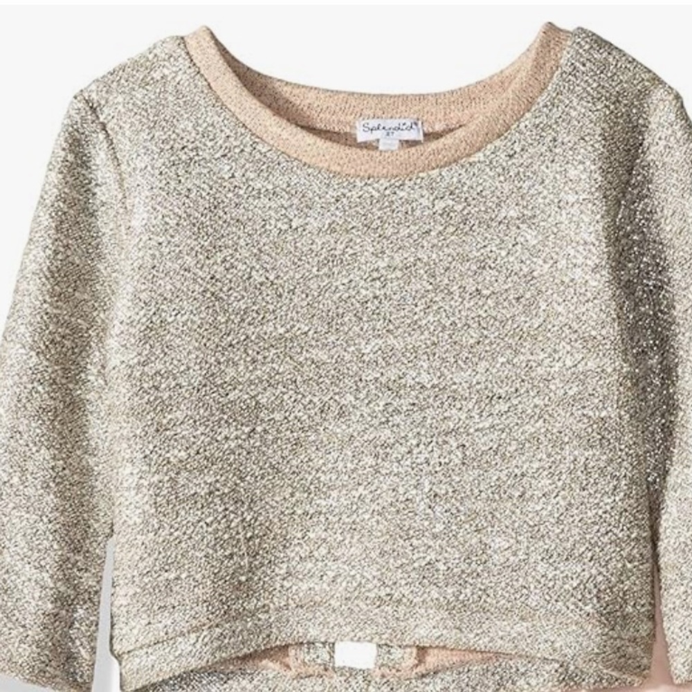 Splendid Metallic Silver Top Size 6X